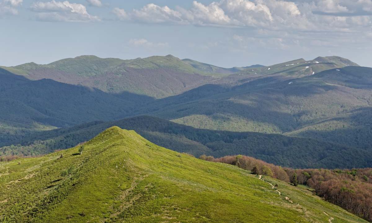 Widok ze szlaku na Połoninie Caryńskiej na zielone grzbiety Bieszczadów