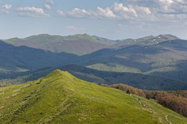 Widok ze szlaku na Połoninie Caryńskiej na zielone grzbiety Bieszczadów